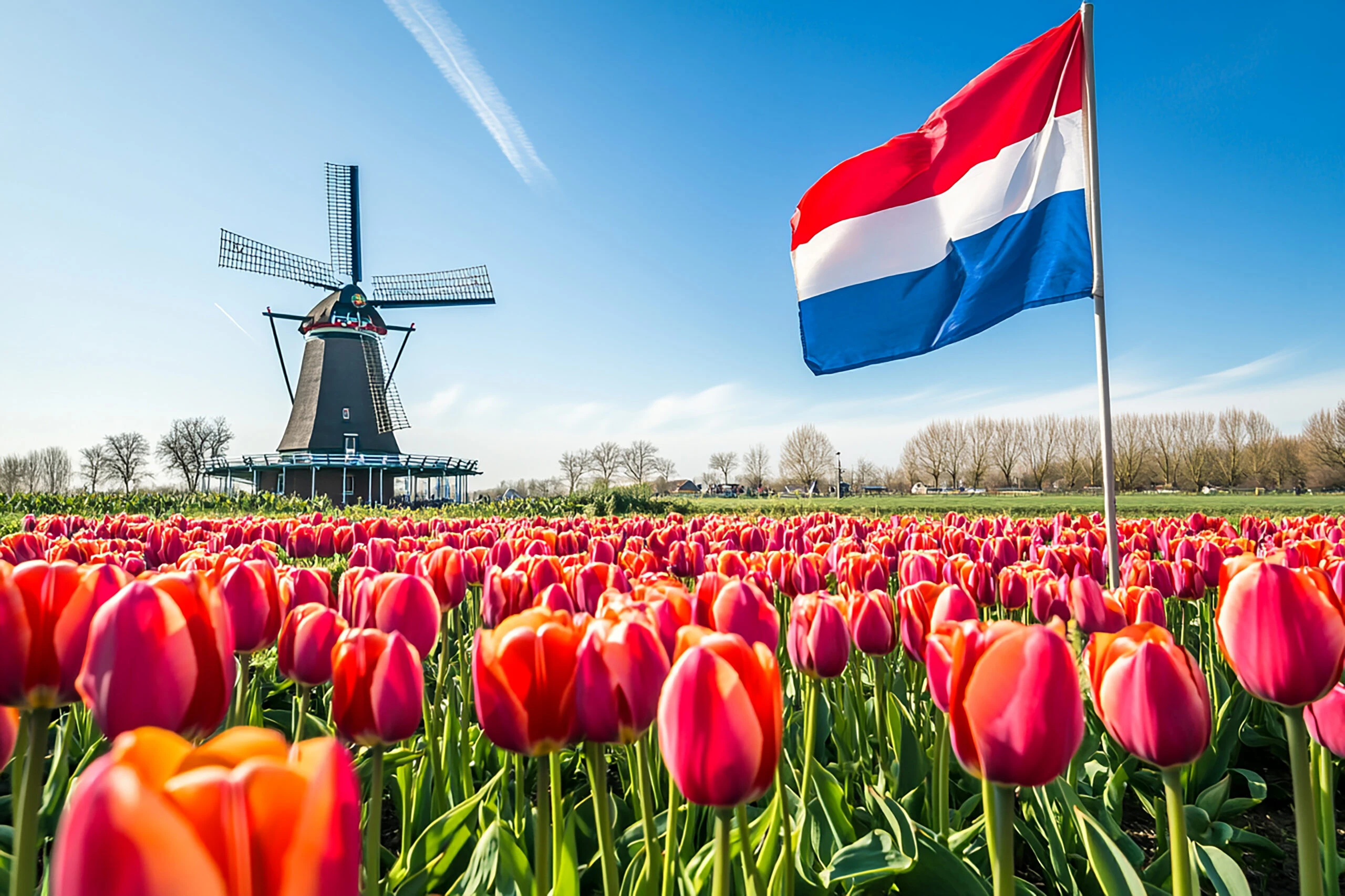 Сборная Нидерландов пропустит церемонию открытия Паралимпийских игр в знак протеста против присутствия российской символики