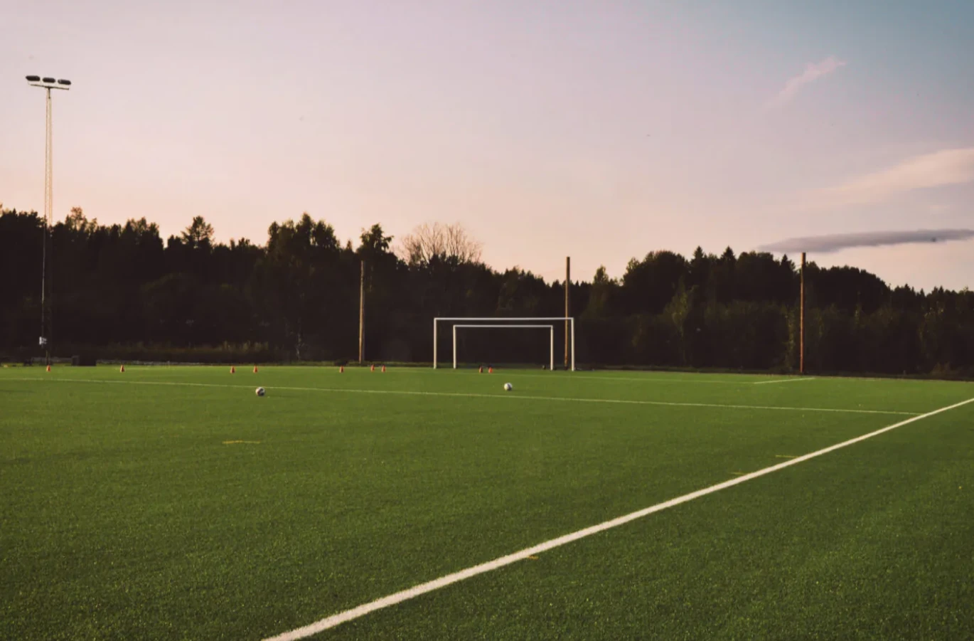 Матч в Панаме остановили пчёлы: рой пролетел над полем, игроки попадали на газон